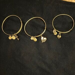 Alex and Ani Gold Charm Bracelet